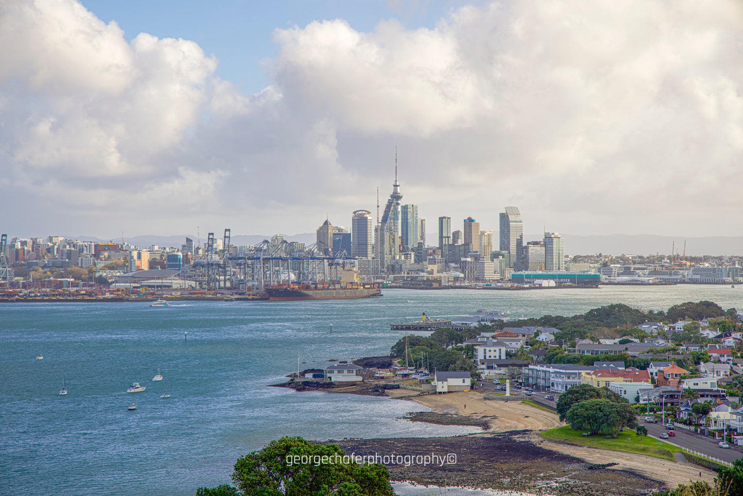 Auckland Sky Tower fine art print