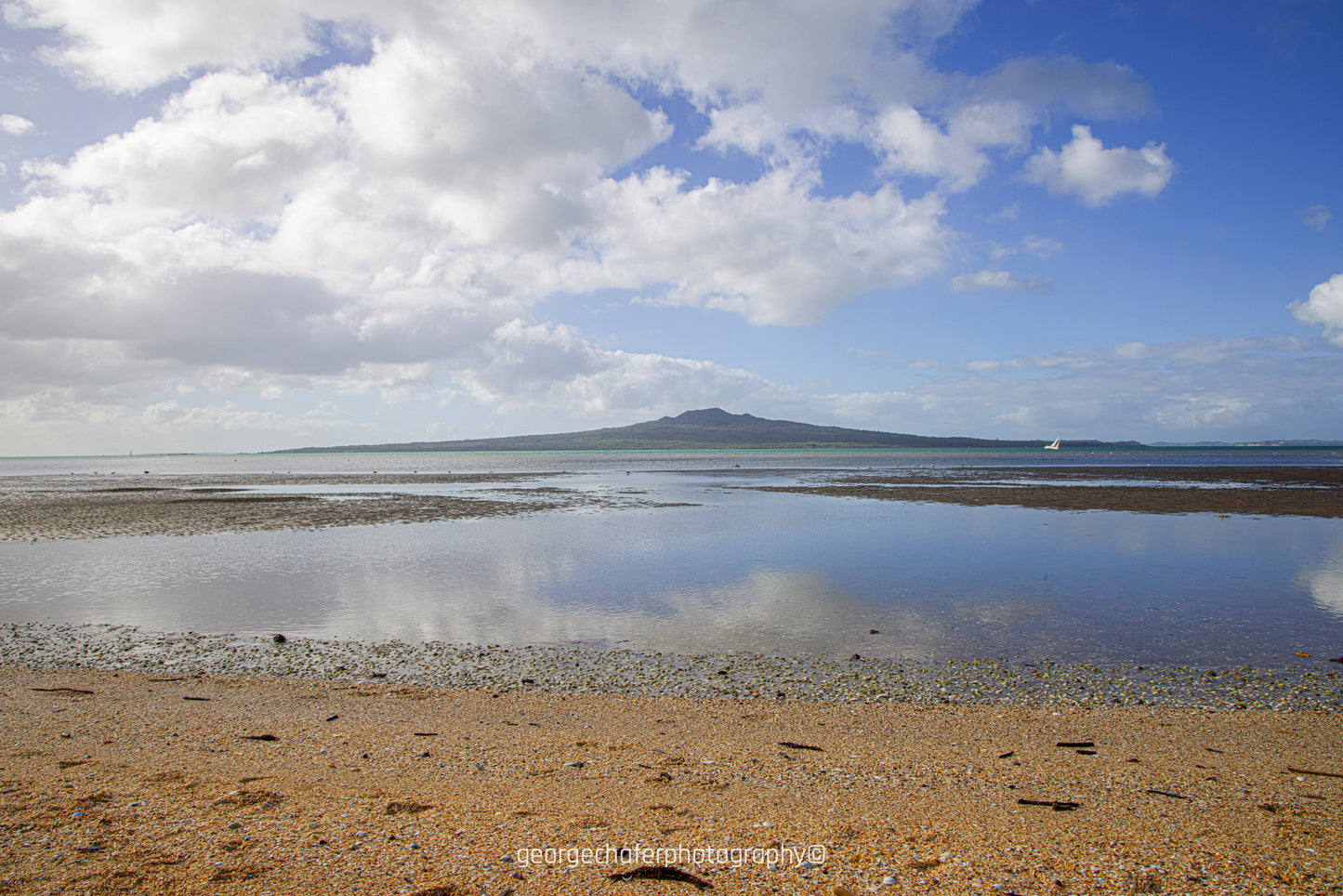 Rangitoto Island fine art print