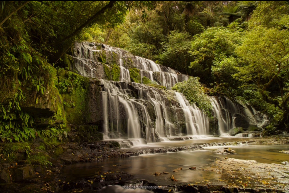 Purakaunui Falls fine art print