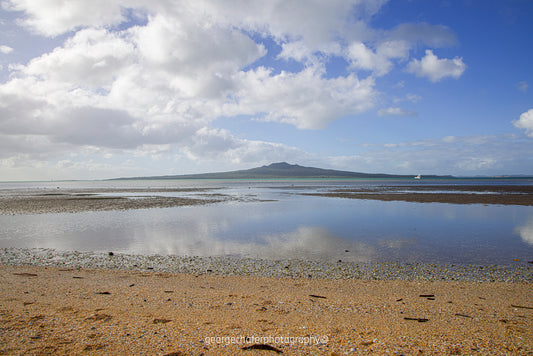 Rangitoto Island fine art print