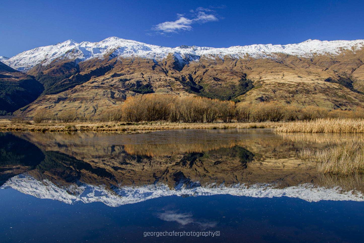 Wanaka New Zealand fine art print