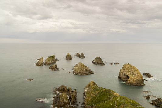 Nugget Point Fine Art Print