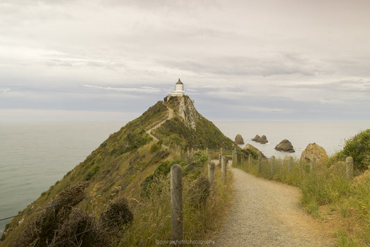 Nugget Point Lighthouse fine art print